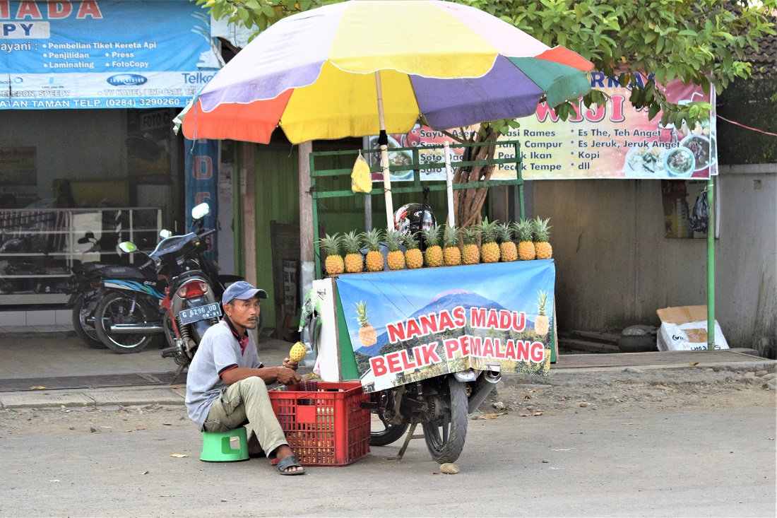 Nanas Madu: Nanas Pemalang atau Nanas Bogor? • Ngabuburead